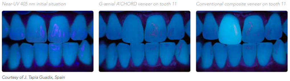 Screenshot 2022-12-21 at 13-03-40 LFL_G-aenial_Achord_en.pdf